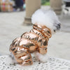 Dazzling Fashion - Pet Coats (S-2XL)