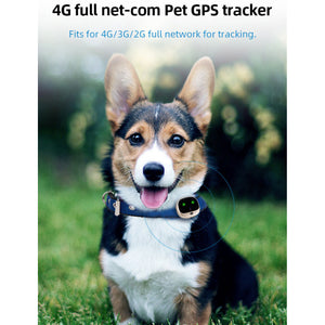 Pet GPS Location Tracker (2G 3G 4G)