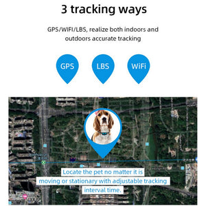 Pet GPS Location Tracker (2G 3G 4G)