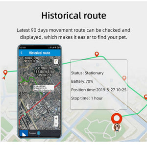 Pet GPS Location Tracker (2G 3G 4G)
