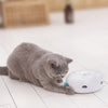 Electronic Cat Toy - Rotating Feather