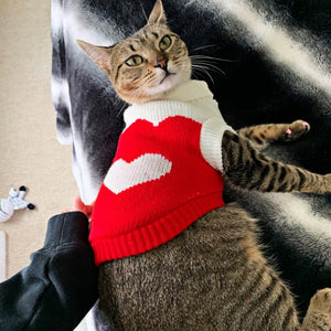 Pet Winter Season - Sweaters (S-XXXL)