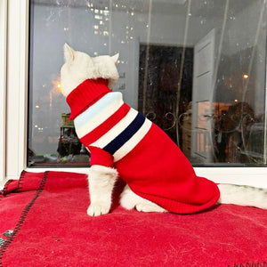 Pet Winter Season - Sweaters (S-XXXL)