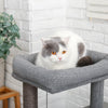 Cat Tree Tower (USA Warehouse)