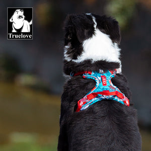 Pet Safety Harness