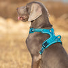 Pet Safety Harness