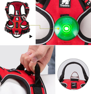 Pet Safety Harness