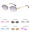 Retro Trend Sunglasses