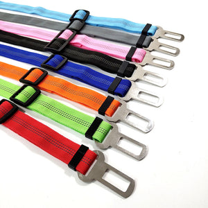 Pet Car - Safety Belt