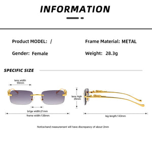 Fashion Leopard Square Sunglasses (Women Men)