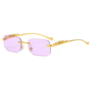 Fashion Leopard Square Sunglasses (Women Men)