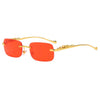 Fashion Leopard Square Sunglasses (Women Men)