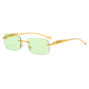 Fashion Leopard Square Sunglasses (Women Men)