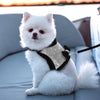 Bling Bow - Pet Harness/Leash