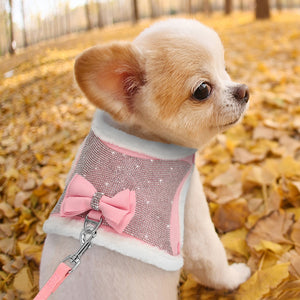 Bling Bow - Pet Harness/Leash