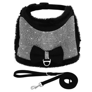 Bling Bow - Pet Harness/Leash