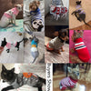 Pet Winter Season - Sweaters (S-XXXL)