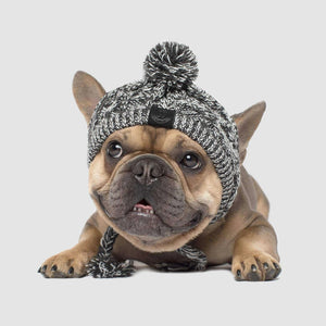 SUPER Winter Dog Hats