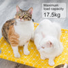 Elevated Cat - Hammock Bed
