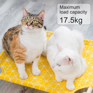 Elevated Cat - Hammock Bed