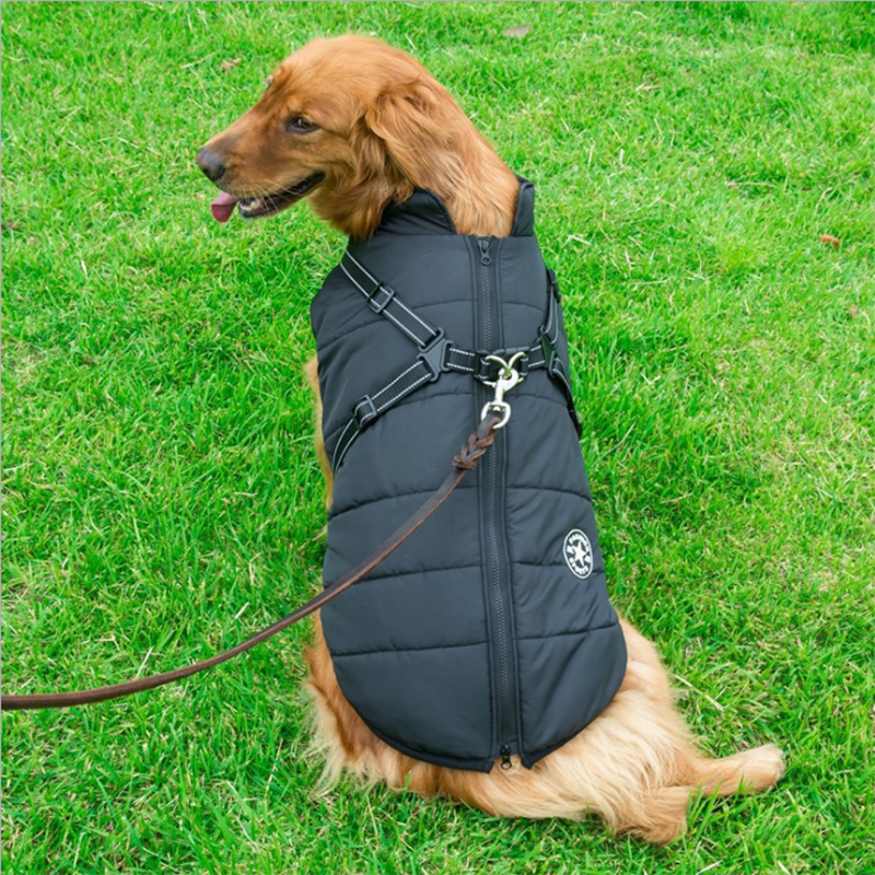 Winter Waterproof - Dog Vest