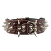 Cool & Sharp - Pet (Stud Collars) (S-XL), Collar, Star Pets Product Workshop, Miss Molly & Co. - Miss Molly & Co.