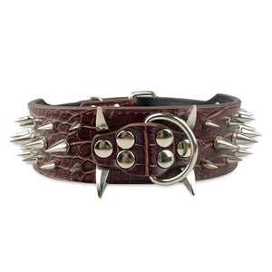  Cool & Sharp - Pet (Stud Collars) (S-XL), Collar, Star Pets Product Workshop, Miss Molly & Co. - Miss Molly & Co.