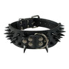  Cool & Sharp - Pet (Stud Collars) (S-XL), Collar, Star Pets Product Workshop, Miss Molly & Co. - Miss Molly & Co.