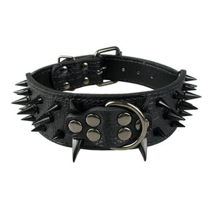  Cool & Sharp - Pet (Stud Collars) (S-XL), Collar, Star Pets Product Workshop, Miss Molly & Co. - Miss Molly & Co.