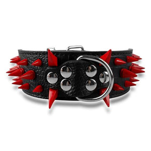  Cool & Sharp - Pet (Stud Collars) (S-XL), Collar, Star Pets Product Workshop, Miss Molly & Co. - Miss Molly & Co.