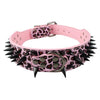  Cool & Sharp - Pet (Stud Collars) (S-XL), Collar, Star Pets Product Workshop, Miss Molly & Co. - Miss Molly & Co.