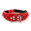  Cool & Sharp - Pet (Stud Collars) (S-XL), Collar, Star Pets Product Workshop, Miss Molly & Co. - Miss Molly & Co.