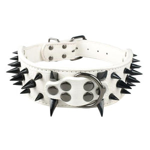  Cool & Sharp - Pet (Stud Collars) (S-XL), Collar, Star Pets Product Workshop, Miss Molly & Co. - Miss Molly & Co.