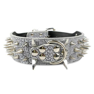 Cool & Sharp - Pet (Stud Collars) (S-XL), Collar, Star Pets Product Workshop, Miss Molly & Co. - Miss Molly & Co.