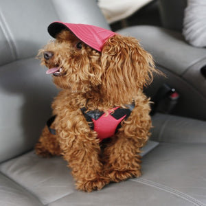 TAILUP Summer Pet Hats (S-XL)
