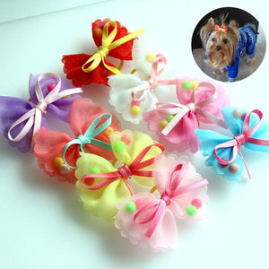  Lace & Bows - Pet Hair Grooming (20pcs), Pet Hair Clips, Darlingg Doggy Store, Miss Molly & Co. - Miss Molly & Co.