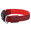Leopard - LED Dog Collar (Safety) (S M L)