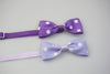 Spot-a-Dog - Pet Bowties