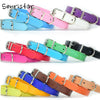  Cool Trending Collars - Pets, Collar, Senristar Store, Miss Molly & Co. - Miss Molly & Co.