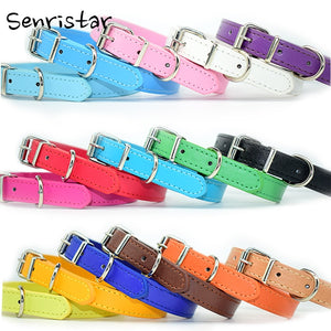  Cool Trending Collars - Pets, Collar, Senristar Store, Miss Molly & Co. - Miss Molly & Co.