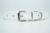  Cool Trending Collars - Pets, Collar, Senristar Store, Miss Molly & Co. - Miss Molly & Co.