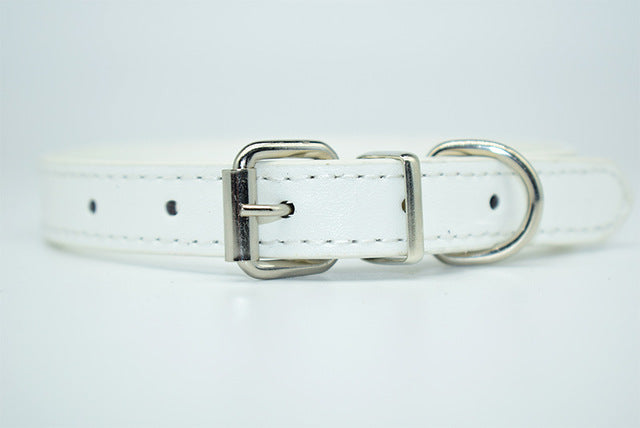  Cool Trending Collars - Pets, Collar, Senristar Store, Miss Molly & Co. - Miss Molly & Co.