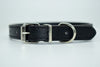  Cool Trending Collars - Pets, Collar, Senristar Store, Miss Molly & Co. - Miss Molly & Co.