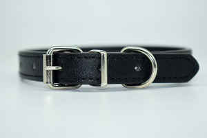  Cool Trending Collars - Pets, Collar, Senristar Store, Miss Molly & Co. - Miss Molly & Co.