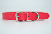  Cool Trending Collars - Pets, Collar, Senristar Store, Miss Molly & Co. - Miss Molly & Co.