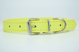  Cool Trending Collars - Pets, Collar, Senristar Store, Miss Molly & Co. - Miss Molly & Co.