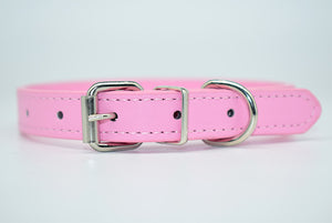  Cool Trending Collars - Pets, Collar, Senristar Store, Miss Molly & Co. - Miss Molly & Co.