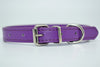  Cool Trending Collars - Pets, Collar, Senristar Store, Miss Molly & Co. - Miss Molly & Co.