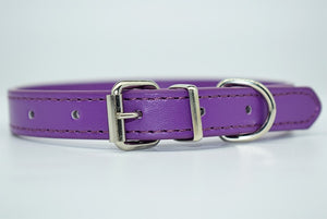  Cool Trending Collars - Pets, Collar, Senristar Store, Miss Molly & Co. - Miss Molly & Co.