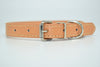  Cool Trending Collars - Pets, Collar, Senristar Store, Miss Molly & Co. - Miss Molly & Co.
